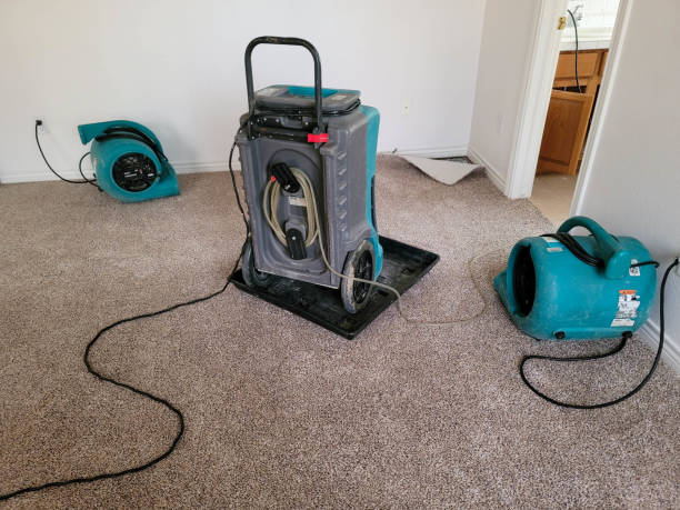 Best Fire Damage Restoration  in Sunset Beach, NC