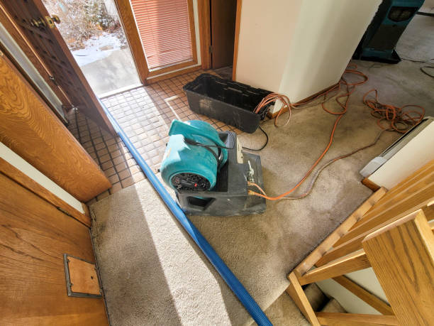 Reliable Sunset Beach, NC Water damage restoration Solutions