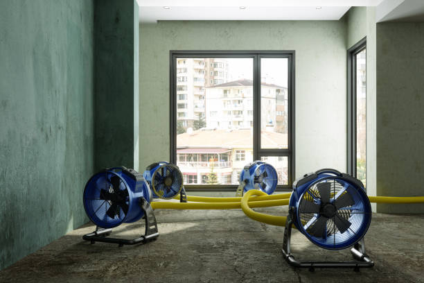 Best 24-hour water damage restoration  in Sunset Beach, NC