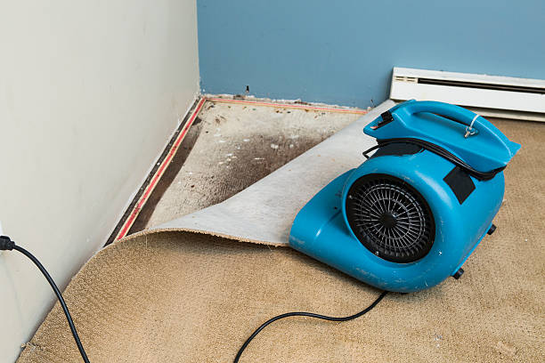 Best Flood damage cleanup  in Sunset Beach, NC